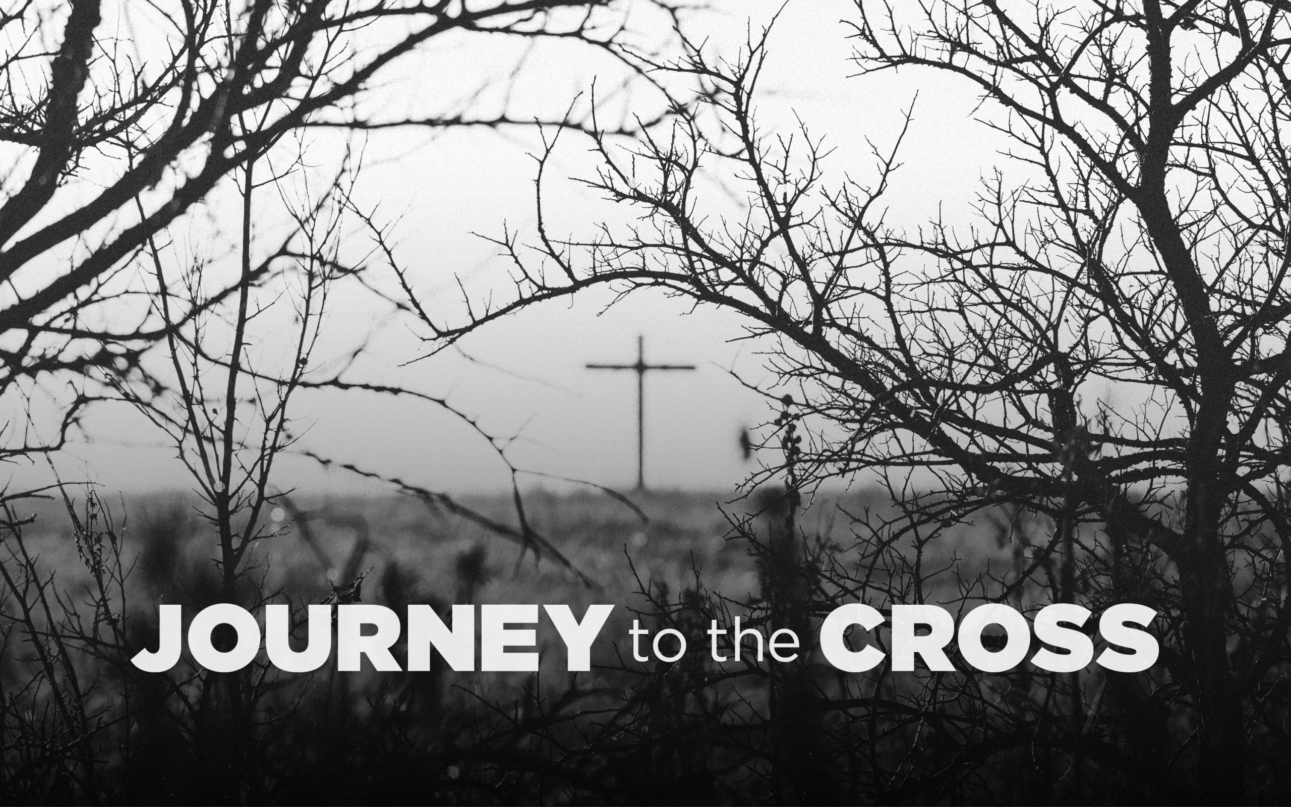 Journey to the Cross | day 3