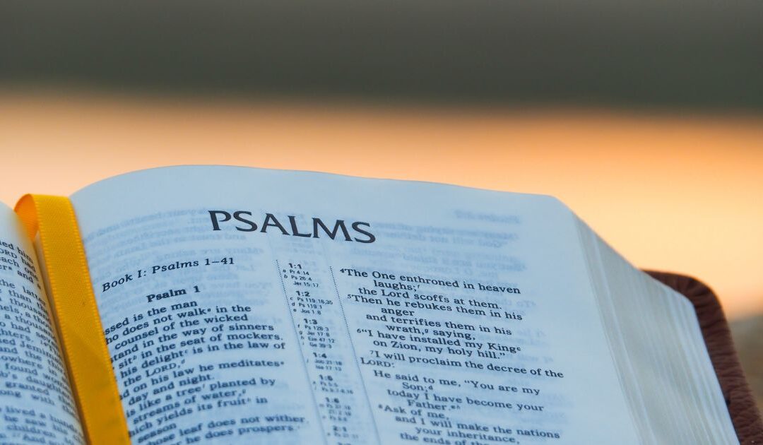 Lessons from the Psalms