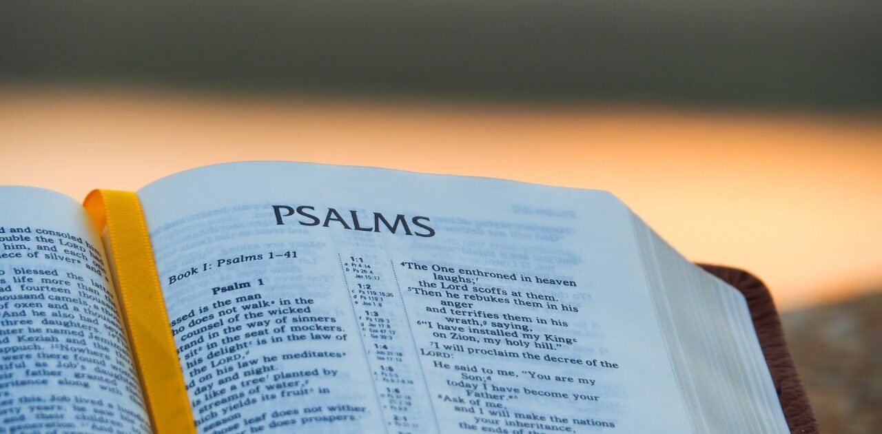 Lessons from the Psalms